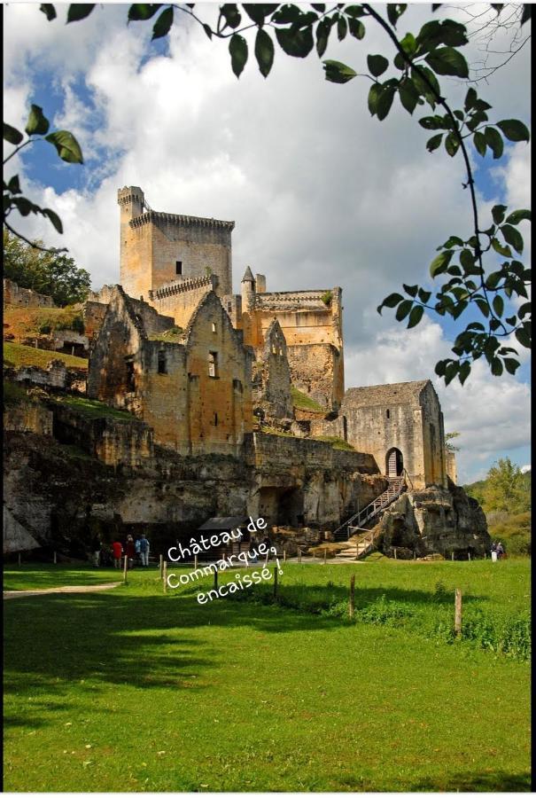 Chateau De L Herm, Lascaux, Sarlat, En Perigord Noir Rouffignac Saint-Cernin エクステリア 写真